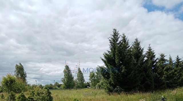 ул Пригородная 246а фото
