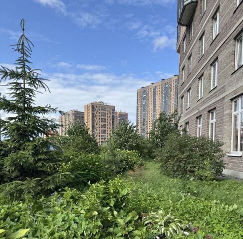 п Парголово ул Фёдора Абрамова 18к/1 метро Парнас фото