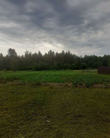 д Березовка ул Пригородная сельское поселение Село Заречный, Людиново фото