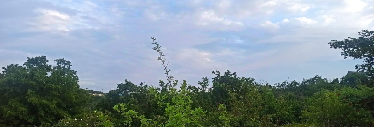 земля г Новороссийск с Борисовка ул Анисовая фото 8
