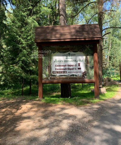 д Голыгино КП Сосновый берег-1 фото