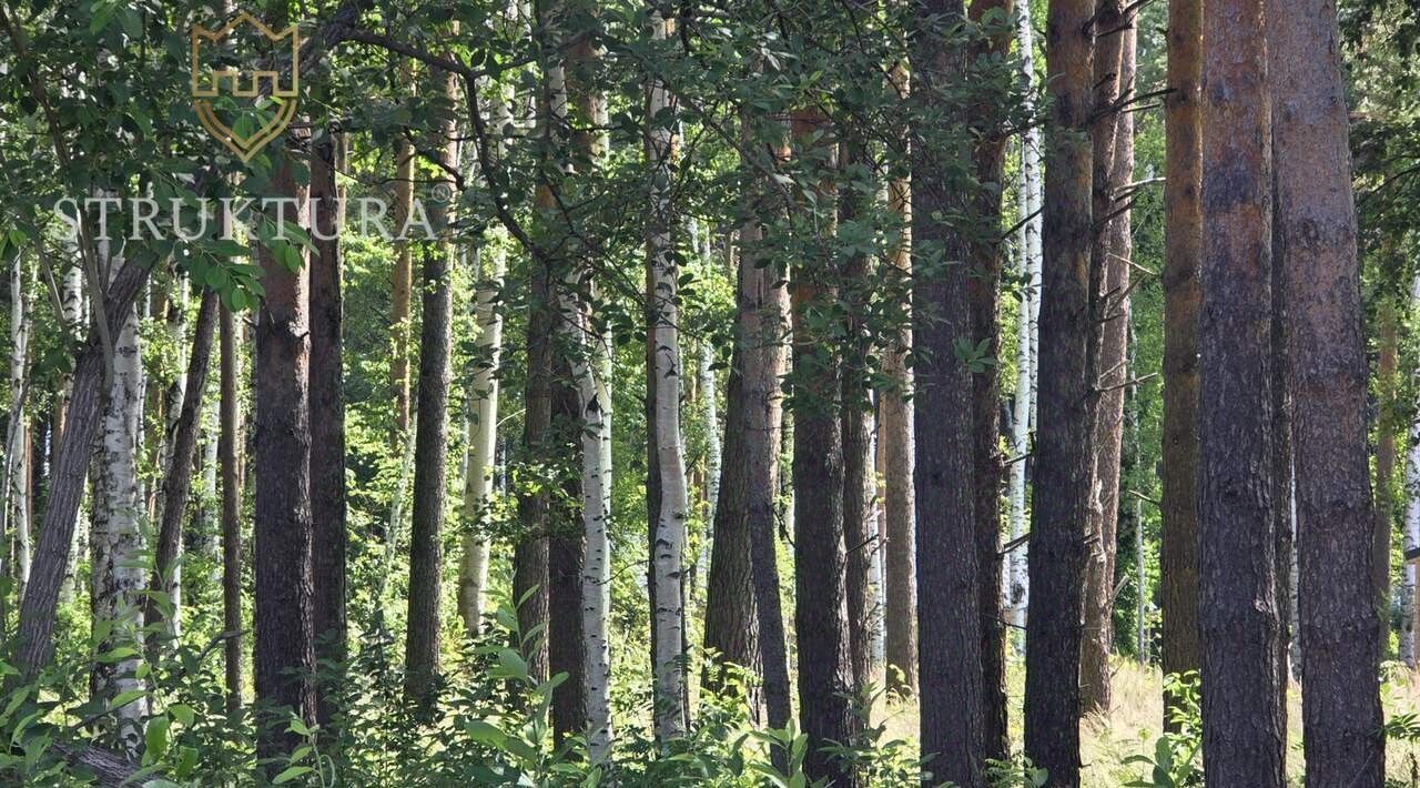 земля г Полевской с Курганово ул Ольховая фото 2
