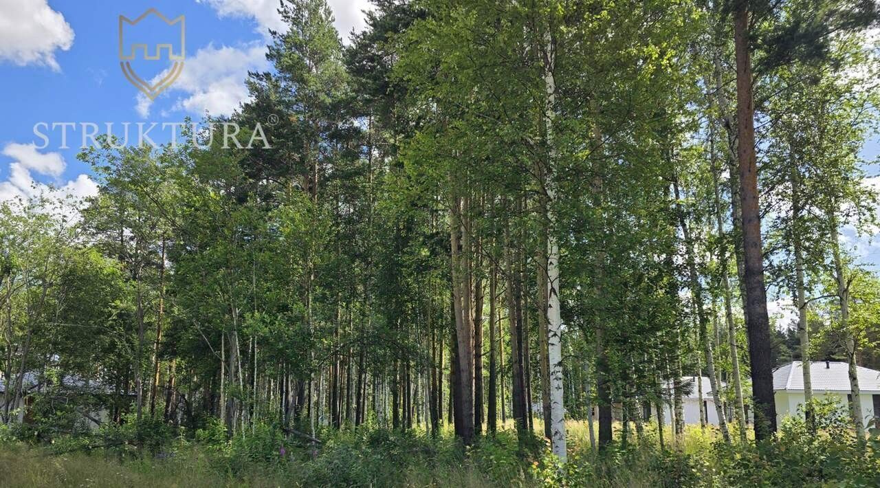 земля г Полевской с Курганово ул Ольховая фото 6