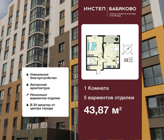 Ольха фото