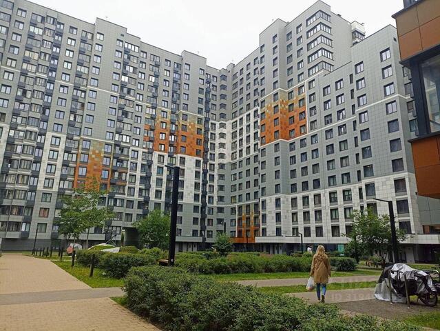 Московская область фото