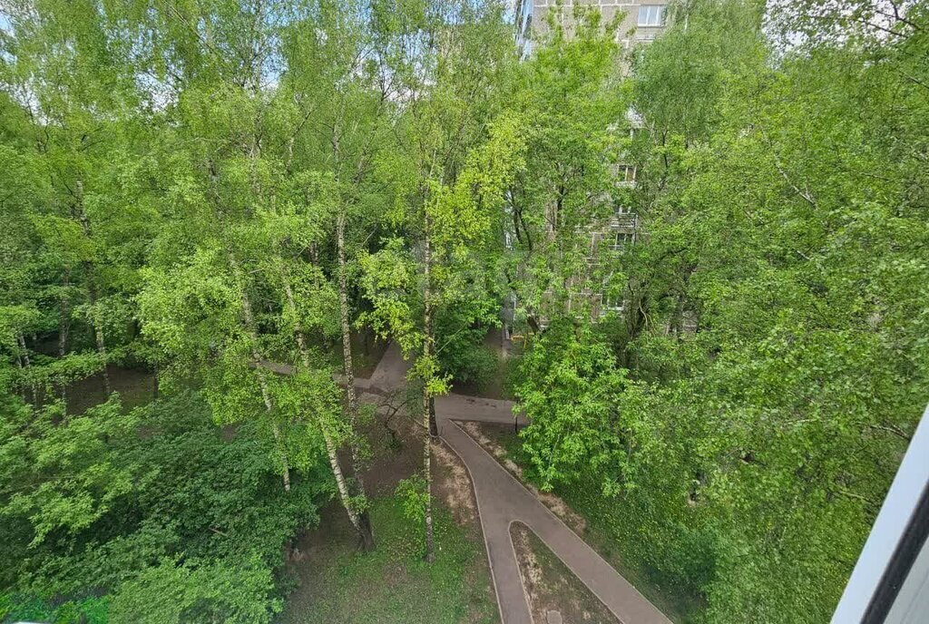 комната г Москва метро Медведково проезд Шокальского 63 фото 7