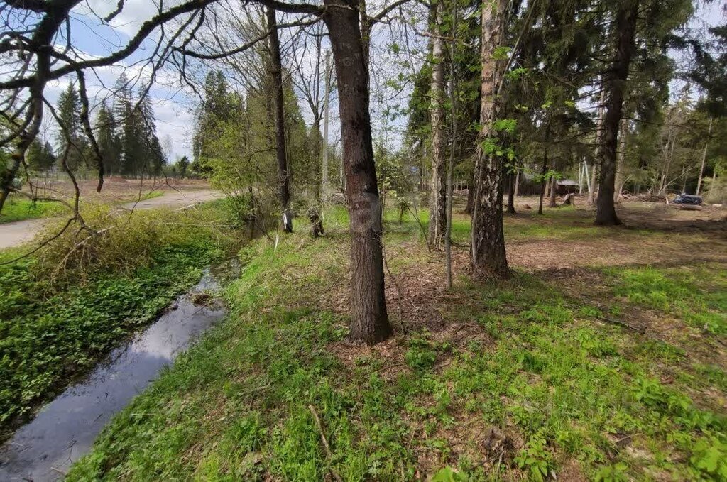 земля г Солнечногорск Зеленоград—Крюково, КП Экопарк Никольское, 90 фото 1