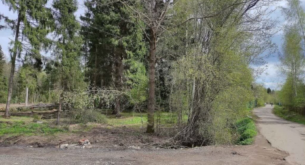 земля г Солнечногорск Зеленоград—Крюково, КП Экопарк Никольское, 87 фото 4