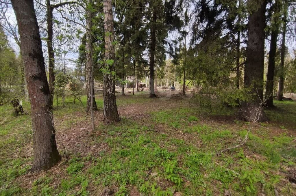 земля г Солнечногорск Зеленоград—Крюково, КП Экопарк Никольское, 95 фото 2