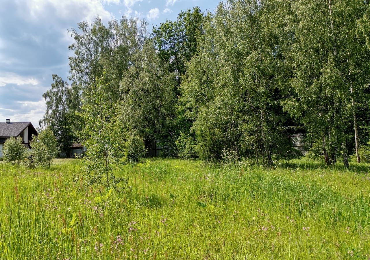 земля г Домодедово с Ильинское 42 км, городской округ Домодедово, Новокаширское шоссе фото 2