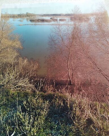 сельсовет, левый берег Димитровского водохранилища, Краснохолм фото