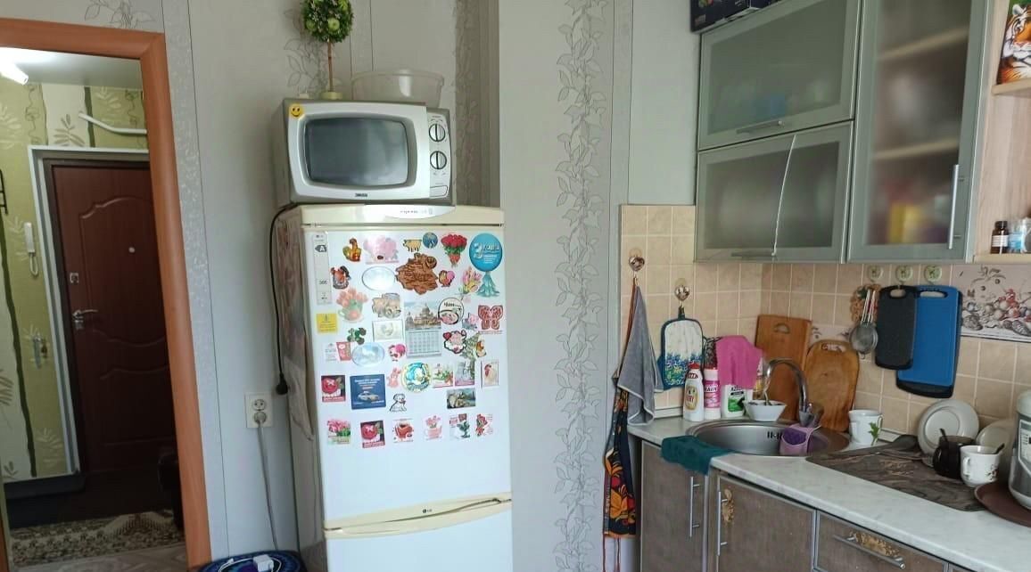 квартира г Омск п Большие Поля ул Центральная 16 р-н Советский фото 4
