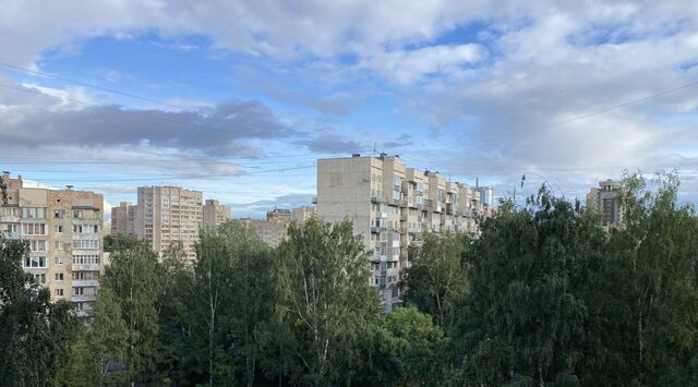 метро Приморская дом 19к/1 фото