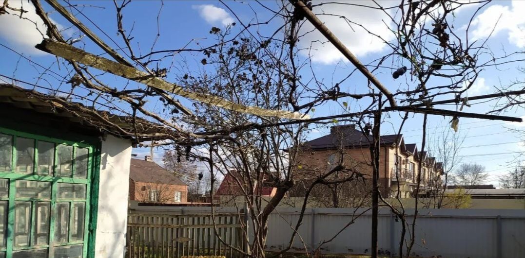 земля р-н Абинский г Абинск ул Фрунзе 12 Абинское городское поселение фото 4