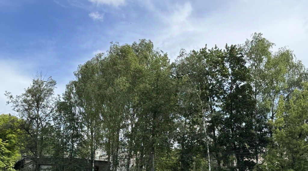 квартира г Тверь р-н Заволжский ул Паши Савельевой 7 фото 15
