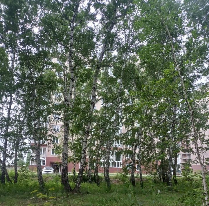 квартира г Омск р-н Кировский ул Волгоградская 46 фото 20