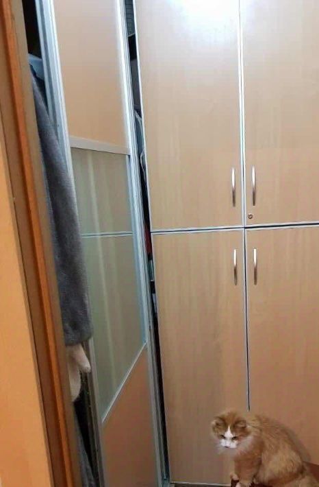 квартира г Якутск ул Очиченко 5/1 фото 4