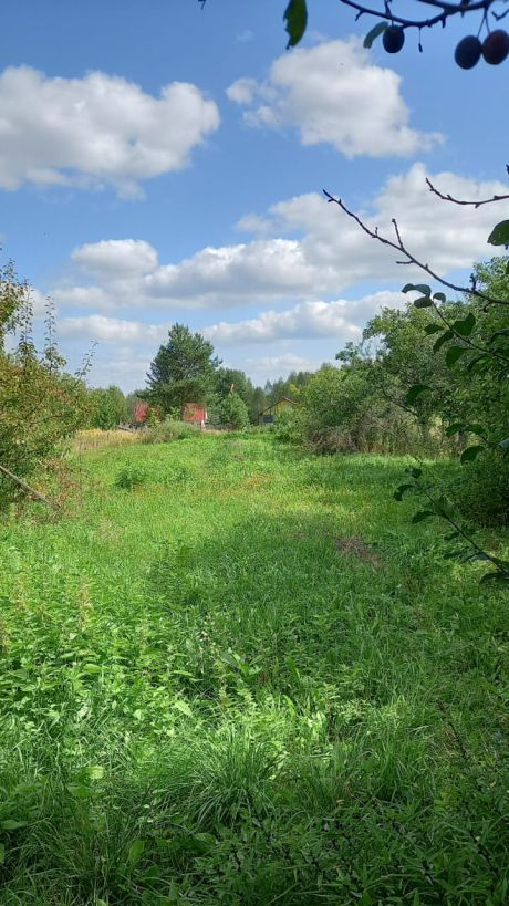 квартира г Семенов рп Сухобезводное ул 3-е Сентября 37 фото 20