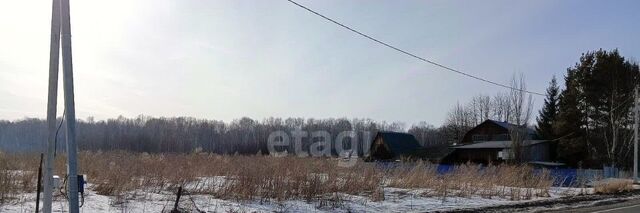 ул Зареченская фото