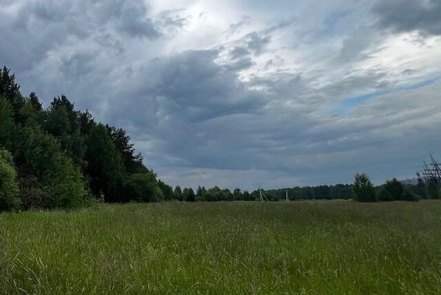 земля п Евстюниха ул Дачная фото