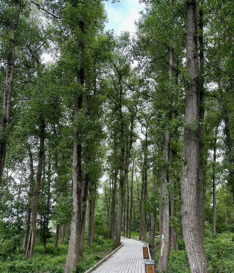квартира г Махачкала р-н Кировский Благородная ул., 17 фото 2