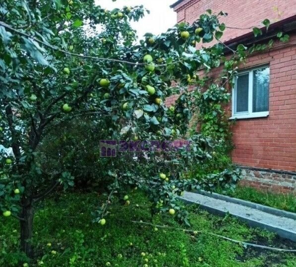 дом г Ялуторовск ул Восточная 55 фото 23
