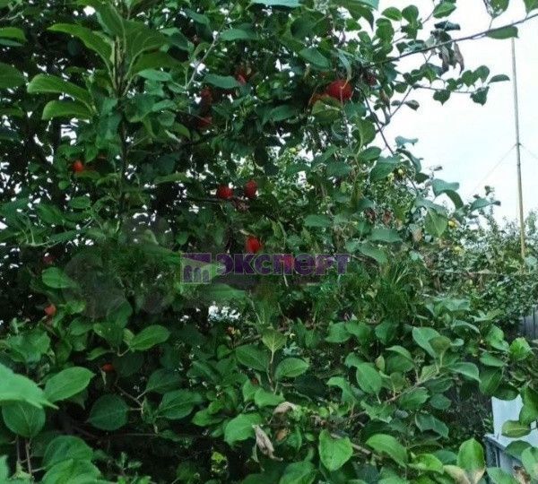 дом г Ялуторовск ул Восточная 55 фото 27