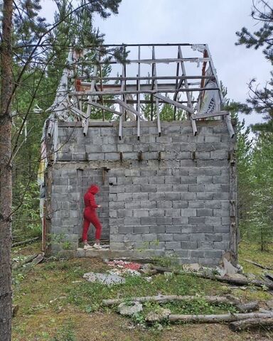 дом ул им А.Е.Карпова фото