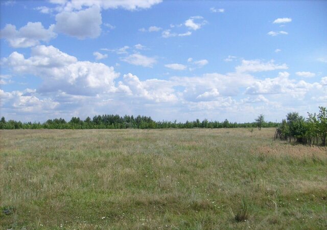 сельское поселение Новоспасский, Октябрьск фото