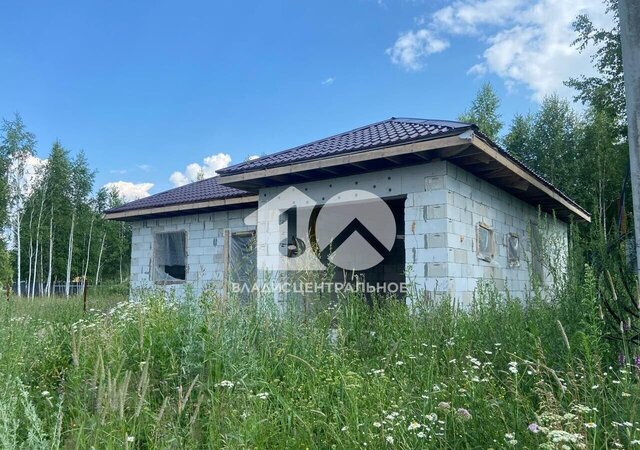 ул Багратиона Станционный сельсовет, станция Мочище, Новосибирский р-н фото