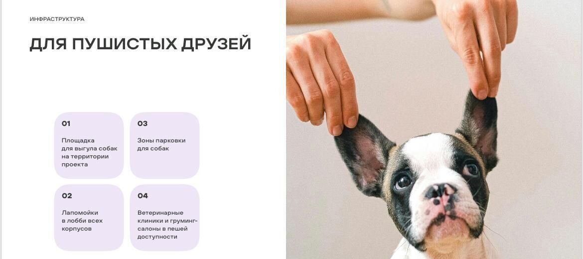 квартира г Оренбург р-н Дзержинский ул Автомобилистов 2 фото 9