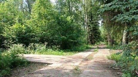 ТиНАО № 100 кв-л фото