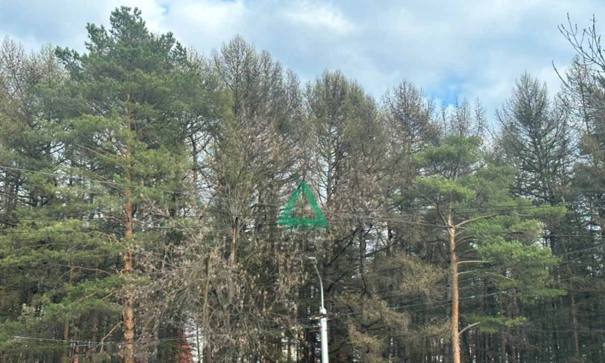 квартира г Уфа Белореченский Софьи Перовской, 25/2 фото 10