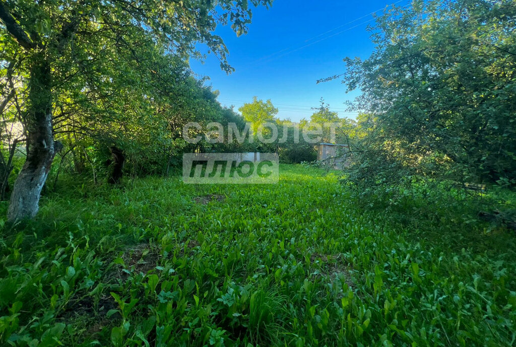 дом г Смоленск ул Шейна фото 4