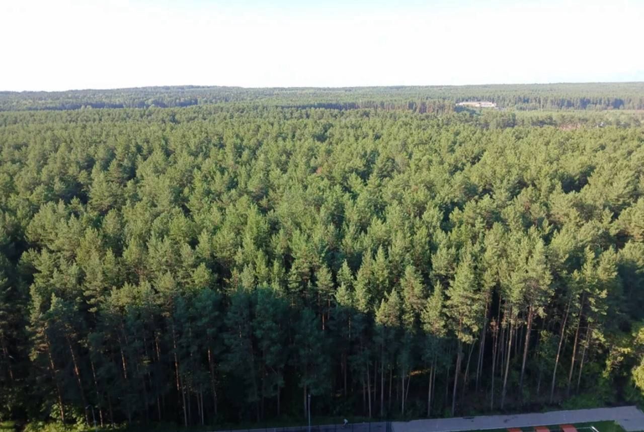 квартира г Пермь р-н Дзержинский ул Докучаева 23 фото 16