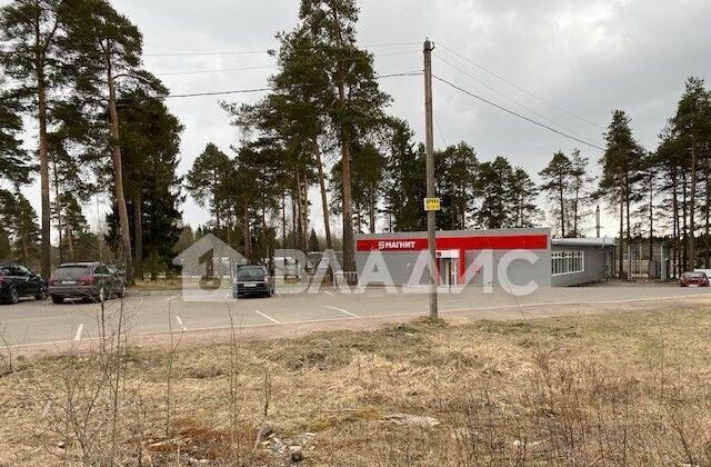 р-н Выборгский п Победа ул Мира 2а Рощинское городское поселение, Рощино фото