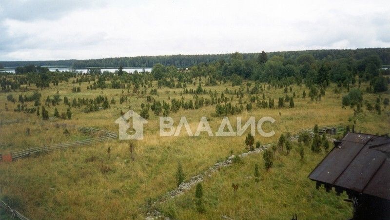 земля г Петрозаводск сад Малый Леликовский, Медвежьегорский муниципальный округ, остров фото 1