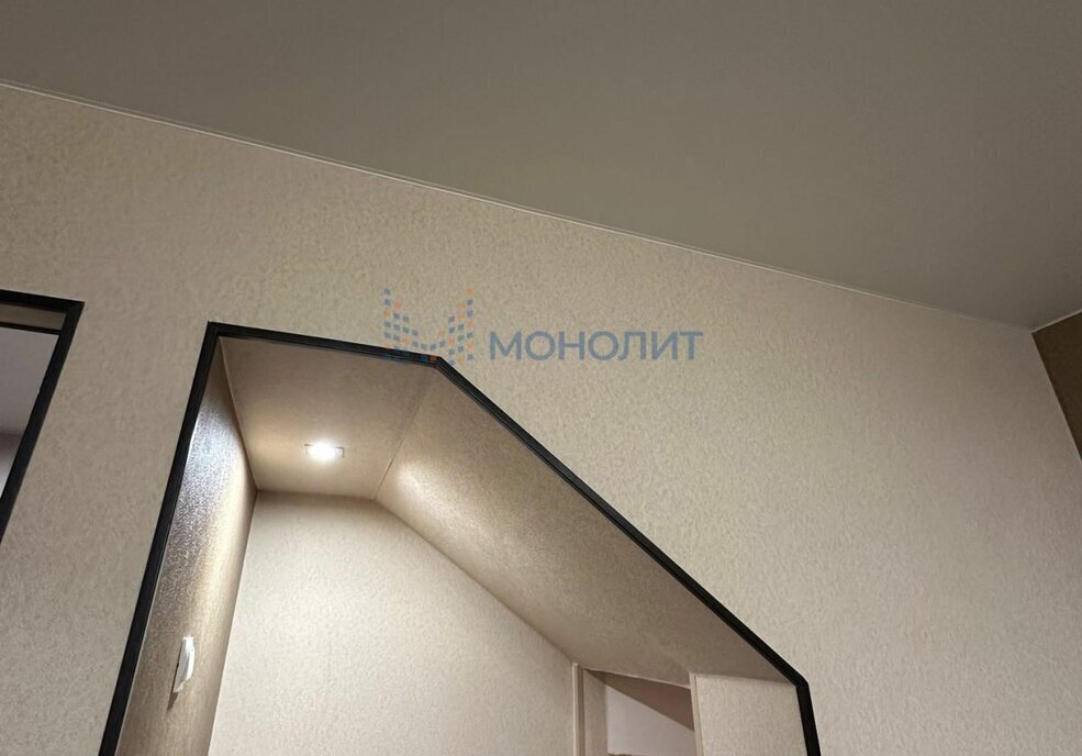 квартира г Нижний Новгород р-н Канавинский Стрелка Мещерское Озеро ул Карла Маркса 24 фото 8