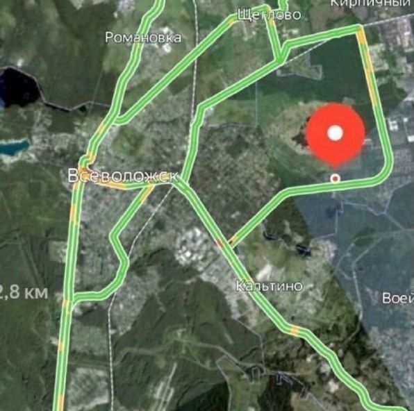 земля р-н Всеволожский г Всеволожск ул Цветочная 15 фото 9