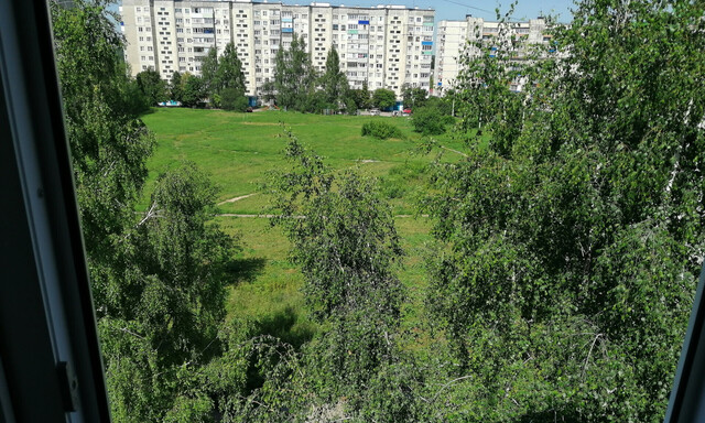 дом 131 фото
