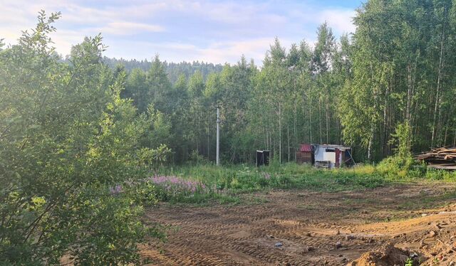 земля п Еловый Иркутск фото