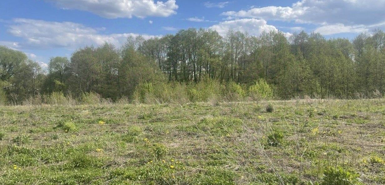 земля г Бронницы фото 1