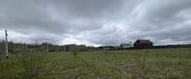 Истра муниципальный округ, д. Курово фото