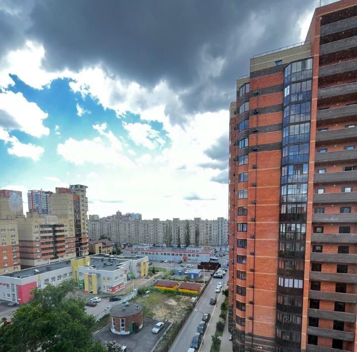 квартира г Воронеж р-н Коминтерновский ул Хользунова 40д фото 6