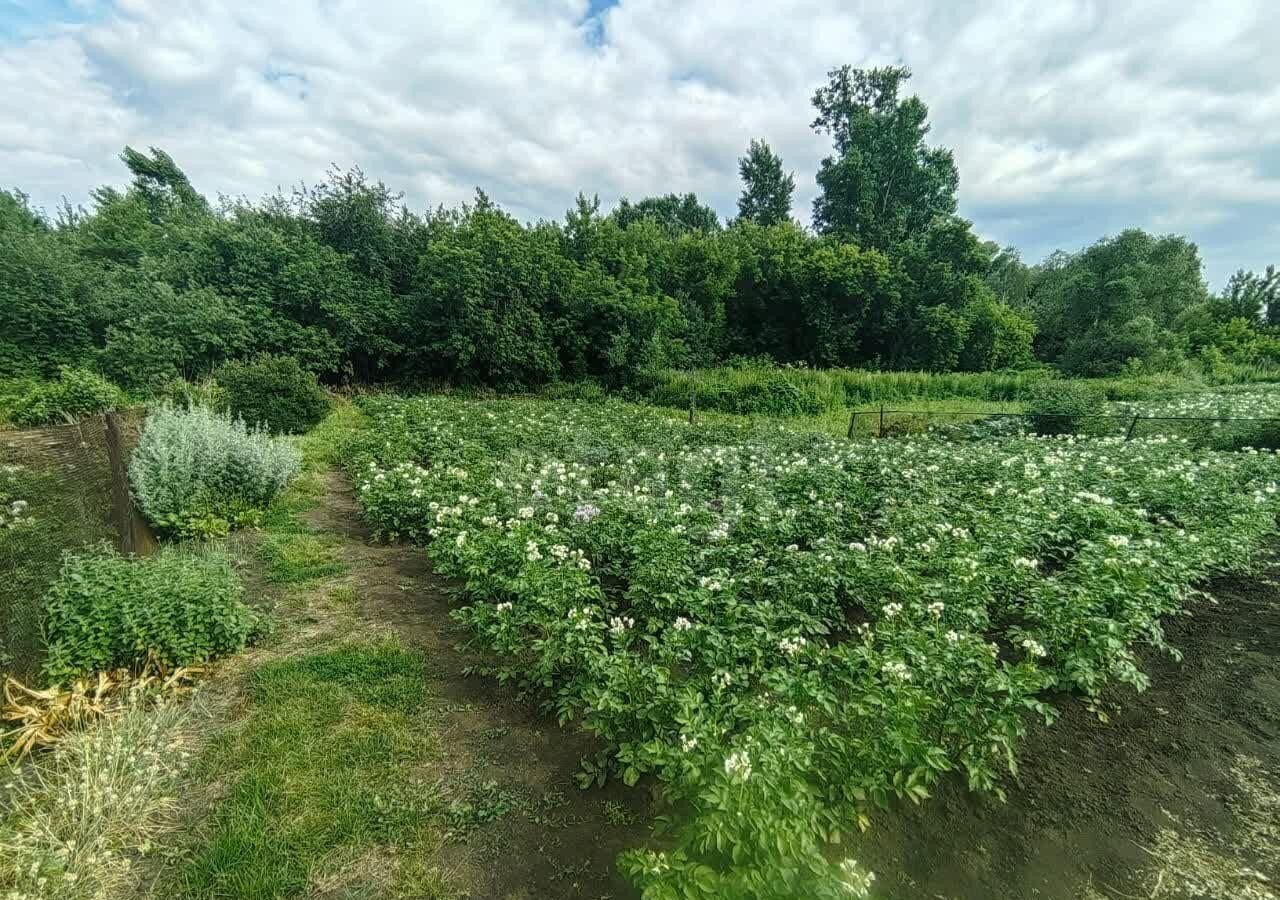 дом г Кемерово р-н Заводский ул 1-я Иланская 25 Кемеровская обл. — Кузбасс фото 22