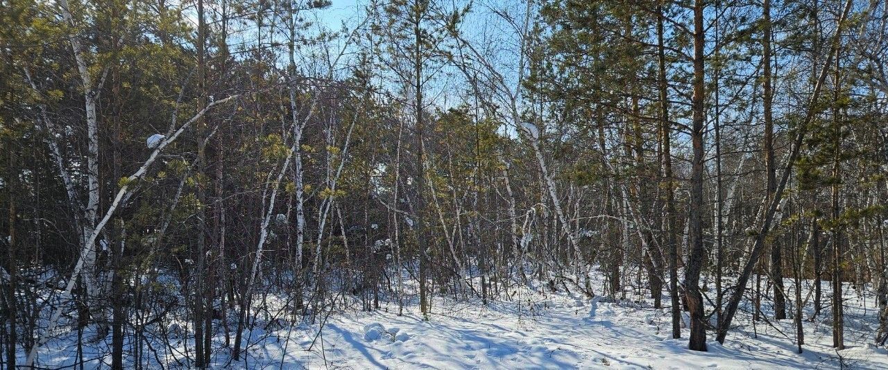 дом г Якутск ул. Старый Покровский Тракт, 32к 2 фото 7
