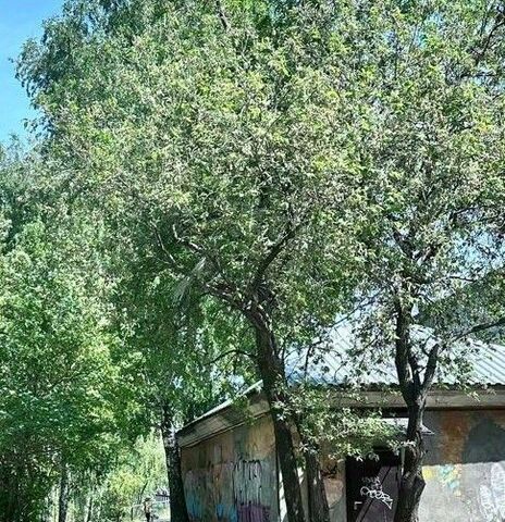 г Екатеринбург Машиностроителей ул. Блюхера, 88 фото