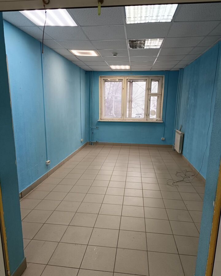 свободного назначения г Нижний Новгород Автозаводская пр-кт Бусыгина 19 фото 3
