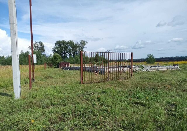 ул Земляничная Богородск фото