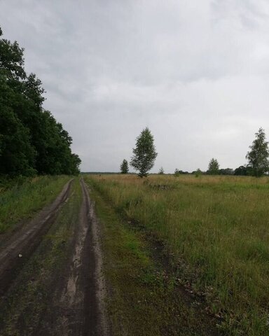 Бутырский сельсовет, КП Лучистый, Липецк фото